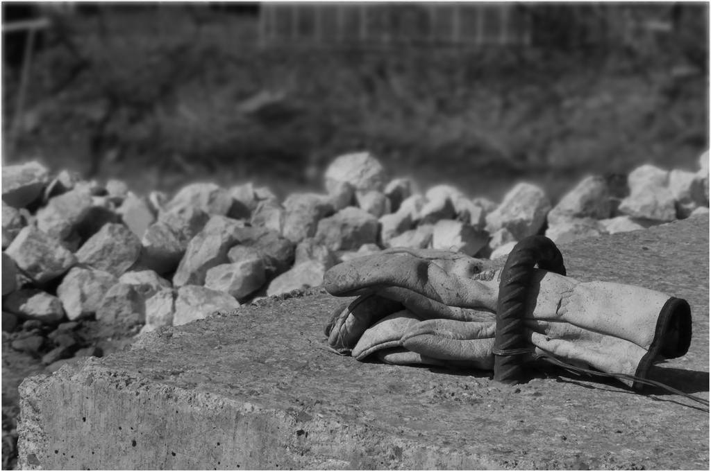 20-la bonifica.jpg